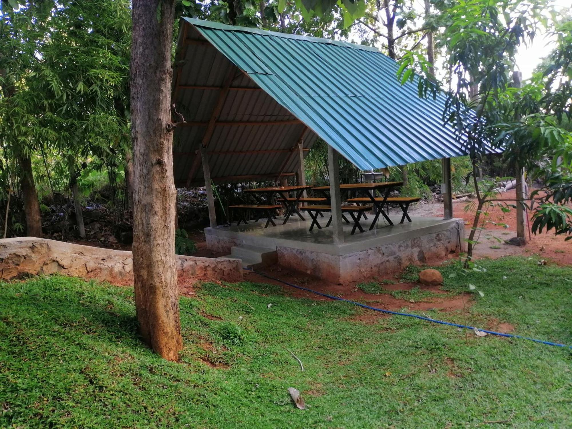 Malwathu Oya Forest Garden Anuradhapura Buitenkant foto