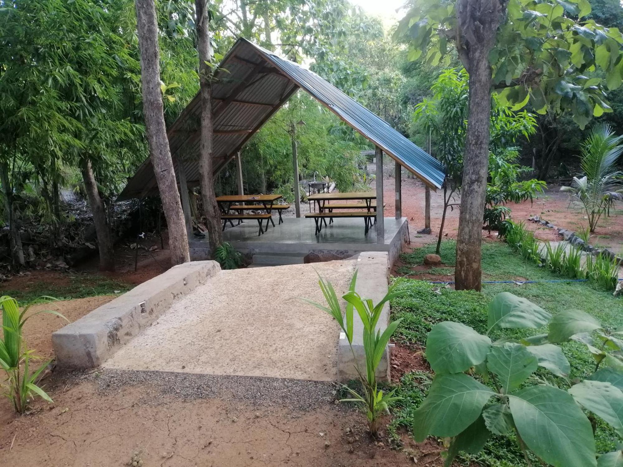 Malwathu Oya Forest Garden Anuradhapura Buitenkant foto