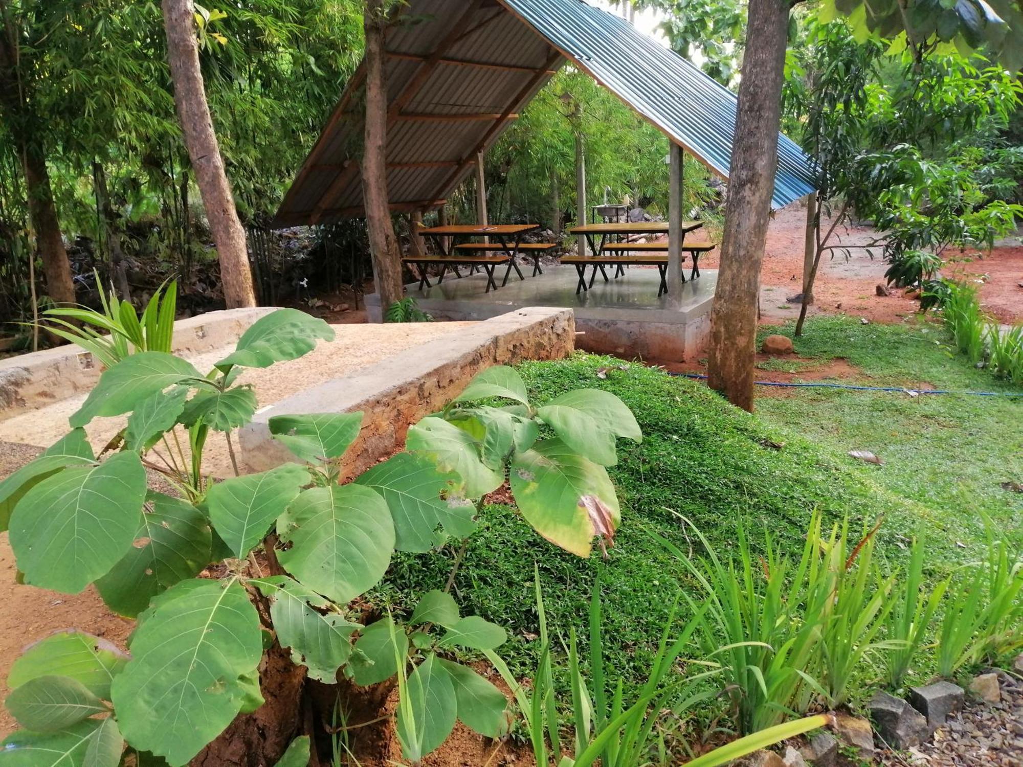 Malwathu Oya Forest Garden Anuradhapura Buitenkant foto