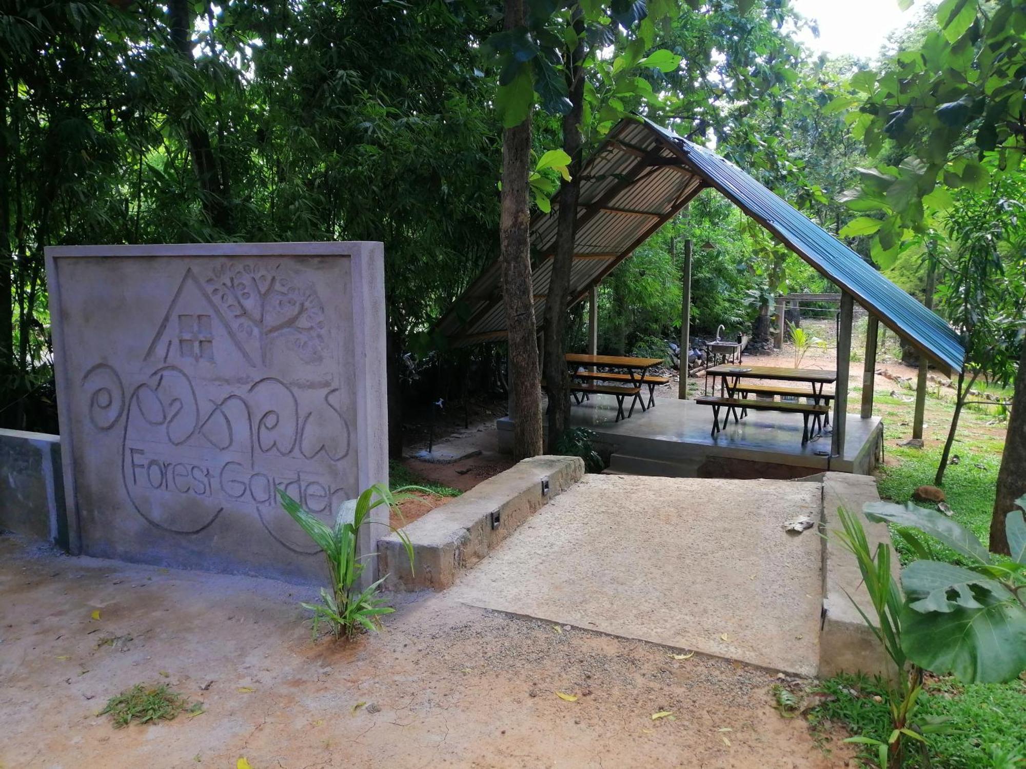 Malwathu Oya Forest Garden Anuradhapura Buitenkant foto